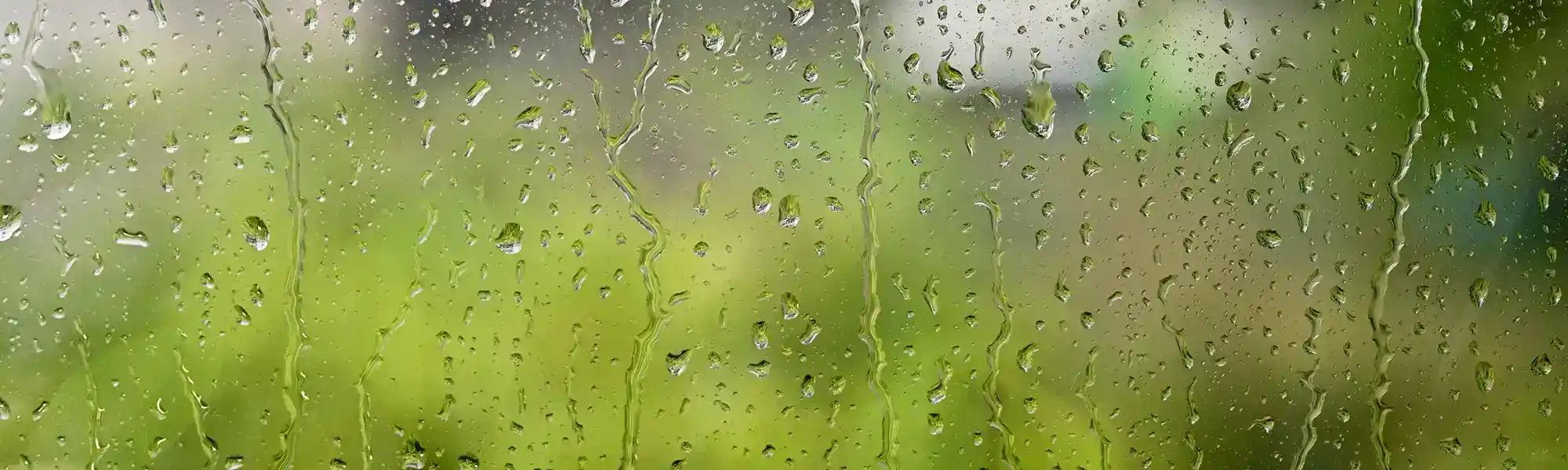 Rain on a window pain image